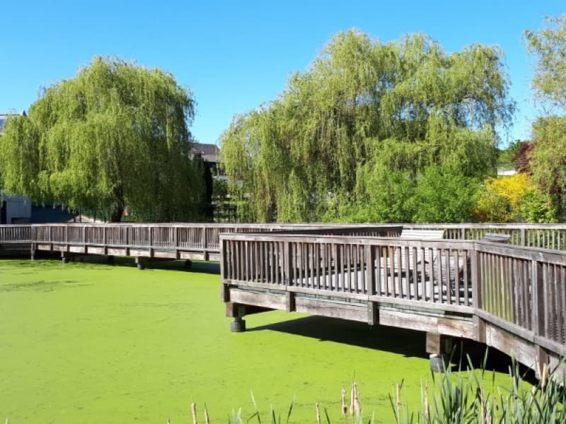 Stege im Ketteler Hof