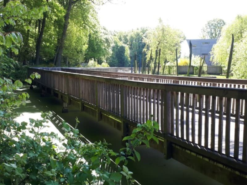 Stege im Ketteler Hof 2